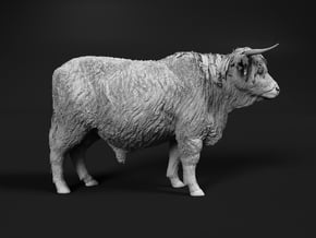 Highland Cattle 1:35 Standing Male in White Natural Versatile Plastic