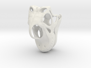 Giraffatitan - dinosaur skull replica in White Natural Versatile Plastic: 1:24