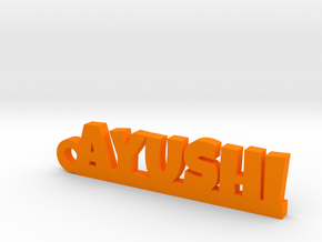 AYUSHI_keychain_Lucky in Orange Processed Versatile Plastic