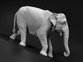 Indian Elephant 1:9 Female descends slope in White Natural Versatile Plastic