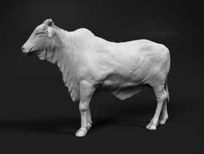 1/2 Brahman x 1/2 Brangus 1:87 Standing Heifer 1 in Tan Fine Detail Plastic