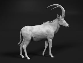 Sable Antelope 1:35 Walking Male in White Natural Versatile Plastic