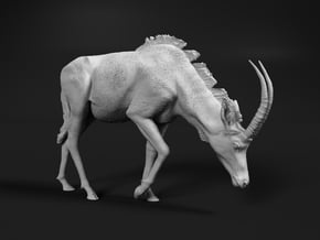 Sable Antelope 1:6 Female with head down in White Natural Versatile Plastic