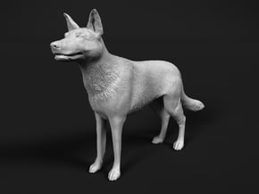 Saarloos Wolfdog 1:6 Standing Male in White Natural Versatile Plastic