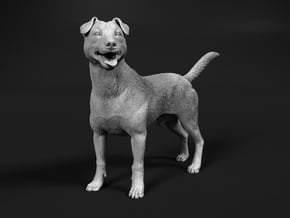 Jack Russell Terrier 1:48 Standing Male in Smooth Fine Detail Plastic