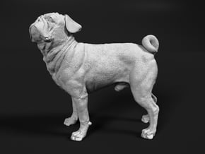 Pug 1:48 Standing Male in Smooth Fine Detail Plastic