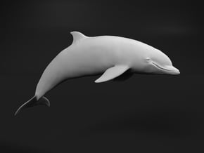 Bottlenose Dolphin 1:12 Breaching 1 in White Natural Versatile Plastic