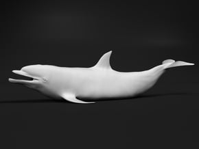 Bottlenose Dolphin 1:6 Out of the water 1 in White Natural Versatile Plastic