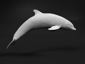 Bottlenose Dolphin 1:6 Breaching 2 in White Natural Versatile Plastic