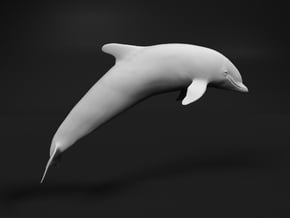 Bottlenose Dolphin 1:9 Breaching 3 in White Natural Versatile Plastic