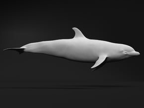 Bottlenose Dolphin 1:9 Swimming 2 in White Natural Versatile Plastic
