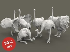 Ostrich Set 1:87 five different pieces in Smooth Fine Detail Plastic