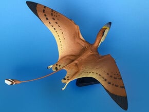 Dimorphodon - model pterosaur in White Natural Versatile Plastic: Medium