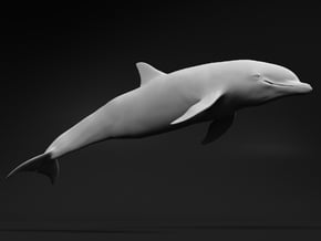 Bottlenose Dolphin 1:9 Swimming 3 in White Natural Versatile Plastic