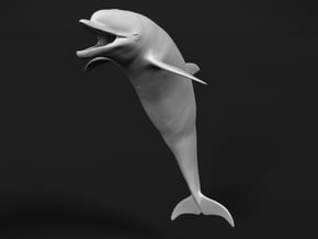 Bottlenose Dolphin 1:6 Mouth open in White Natural Versatile Plastic