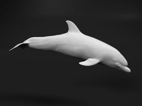 Bottlenose Dolphin 1:9 Calf 1 in White Natural Versatile Plastic