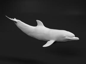 Bottlenose Dolphin 1:20 Calf 2 in White Natural Versatile Plastic