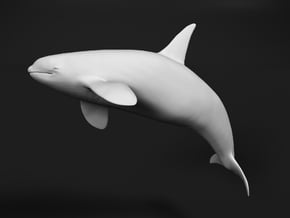Killer Whale 1:12 Breaching Male in White Natural Versatile Plastic