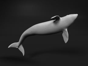 Killer Whale 1:20 Breaching Female in White Natural Versatile Plastic