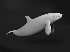 Killer Whale 1:12 Swimming Female 1 in White Natural Versatile Plastic