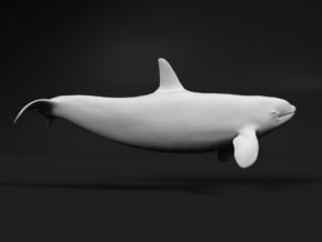Killer Whale 1:120 Swimming Female 2 in Tan Fine Detail Plastic