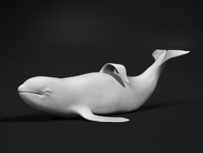 Killer Whale 1:350 Captive male out of the water in Tan Fine Detail Plastic