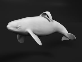 Killer Whale 1:96 Captive male swimming in Tan Fine Detail Plastic
