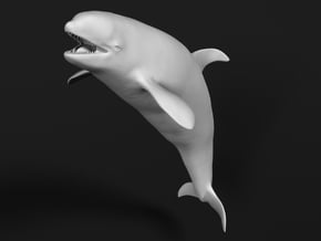 Killer Whale 1:12 Female with mouth open 1 in White Natural Versatile Plastic