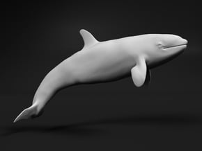 Killer Whale 1:72 Calf 2 in White Natural Versatile Plastic