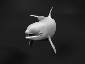 Killer Whale 1:9 Female with mouth open 2 in White Natural Versatile Plastic