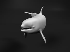 Killer Whale 1:48 Female with mouth open 2 in White Natural Versatile Plastic