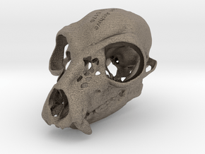 Lemur Skull in Matte Bronzed-Silver Steel