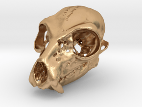 Lemur Skull in Natural Bronze
