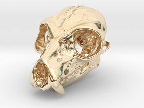 Lemur Skull in 14k Gold Plated Brass