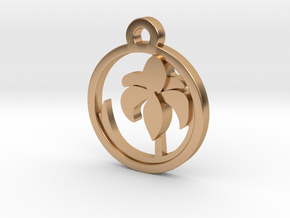  Iris Charm Necklace n64 in Polished Bronze