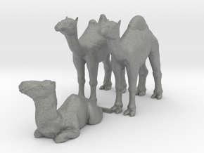 HO Scale Camels in Gray PA12