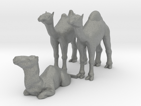 S Scale Camels in Gray PA12