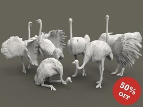 Ostrich Set 1:160 five different pieces in Tan Fine Detail Plastic