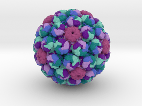 Merkel Cell Polyomavirus in Natural Full Color Sandstone