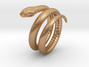 Snake Ring_R01 in Polished Bronze: 8 / 56.75