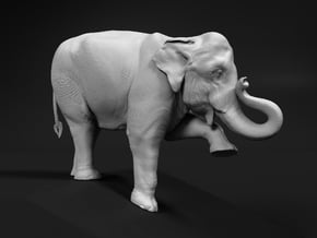 Indian Elephant 1:6 Female on top of slope in White Natural Versatile Plastic