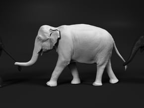 Indian Elephant 1:12 Female walking in a line 3 in White Natural Versatile Plastic