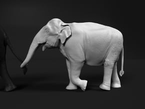 Indian Elephant 1:25 Female walking in a line 4 in White Natural Versatile Plastic