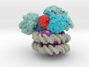 Nucleosome 6UH5 in Glossy Full Color Sandstone: Small
