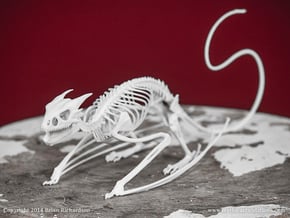 Horned Wyvern Skeleton in White Natural Versatile Plastic