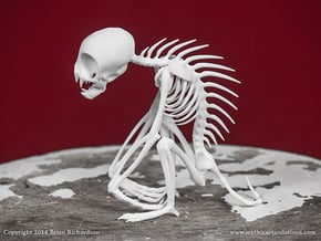 Chupacabra Skeleton  in White Natural Versatile Plastic
