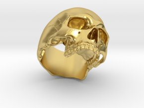 Skull Ring _ R01 in Polished Brass: 8 / 56.75