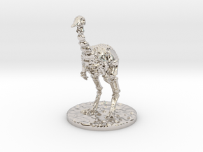 The Skeletal Ostrich in Rhodium Plated Brass