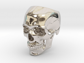 Skull Ring _ R02 in Rhodium Plated Brass: 5 / 49
