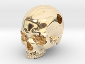 Skull Pendant _ P01 in 14K Yellow Gold: Large